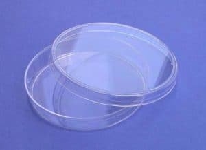 petri dishes 15mm x 100mm, 20/pack