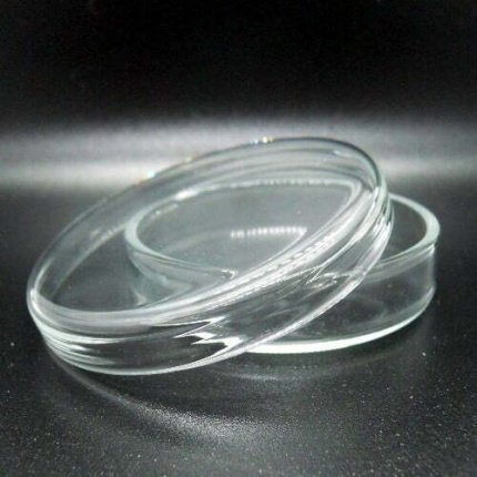 petri dish glass 60mm